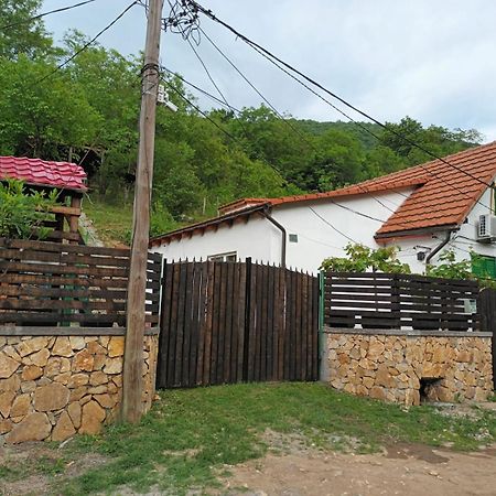 Vila Andrei Sasca Montană Exteriér fotografie