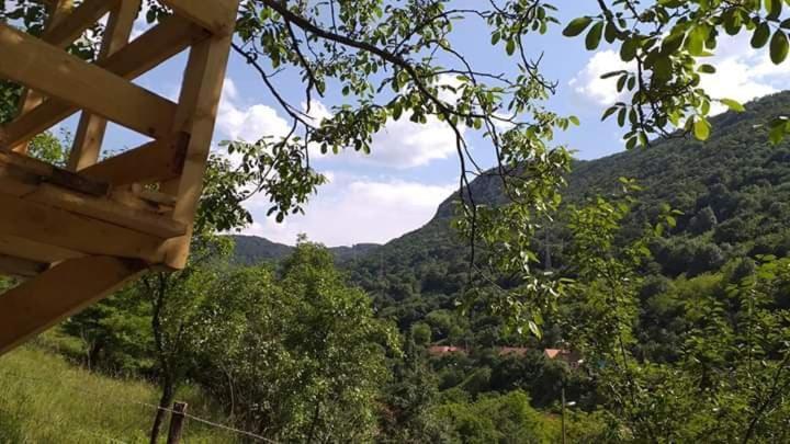 Vila Andrei Sasca Montană Exteriér fotografie
