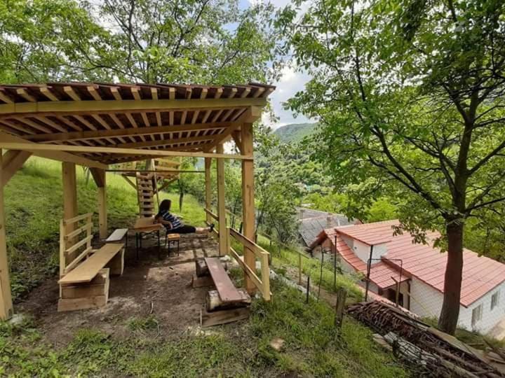 Vila Andrei Sasca Montană Exteriér fotografie
