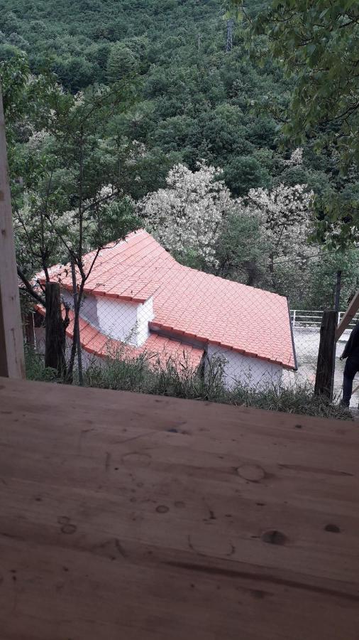 Vila Andrei Sasca Montană Exteriér fotografie