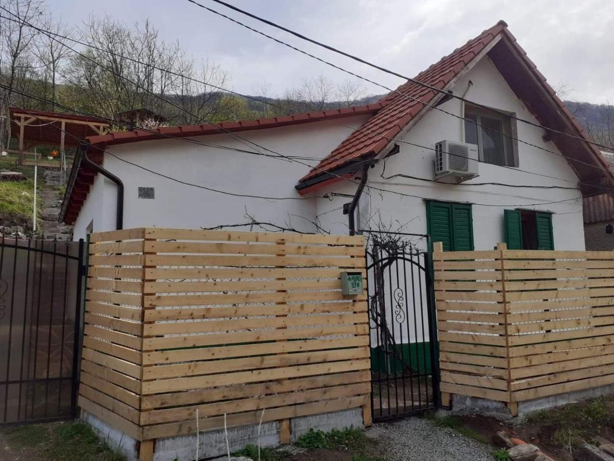 Vila Andrei Sasca Montană Exteriér fotografie