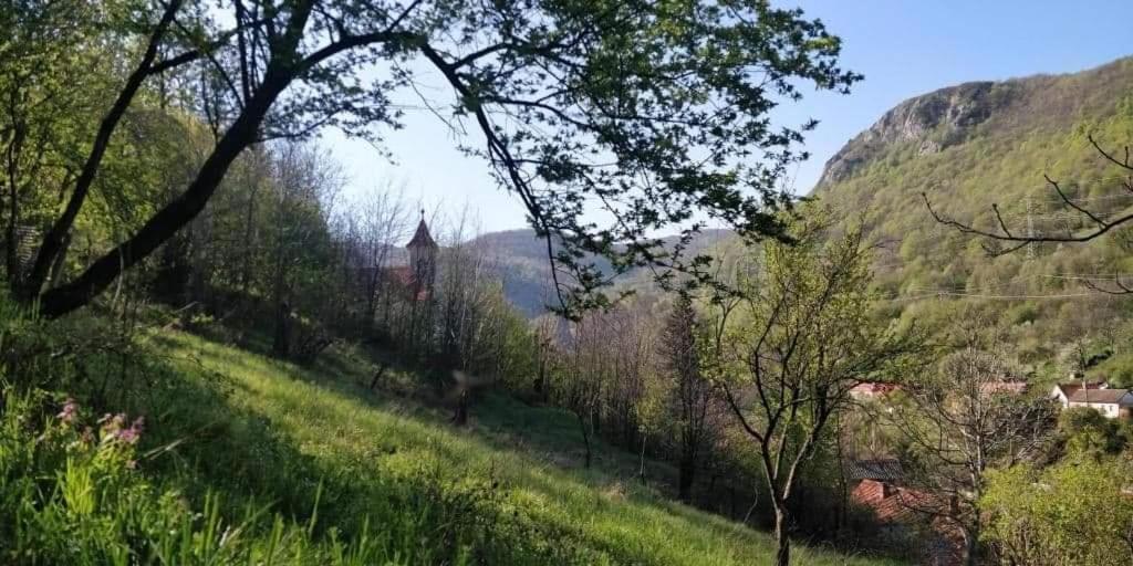 Vila Andrei Sasca Montană Exteriér fotografie