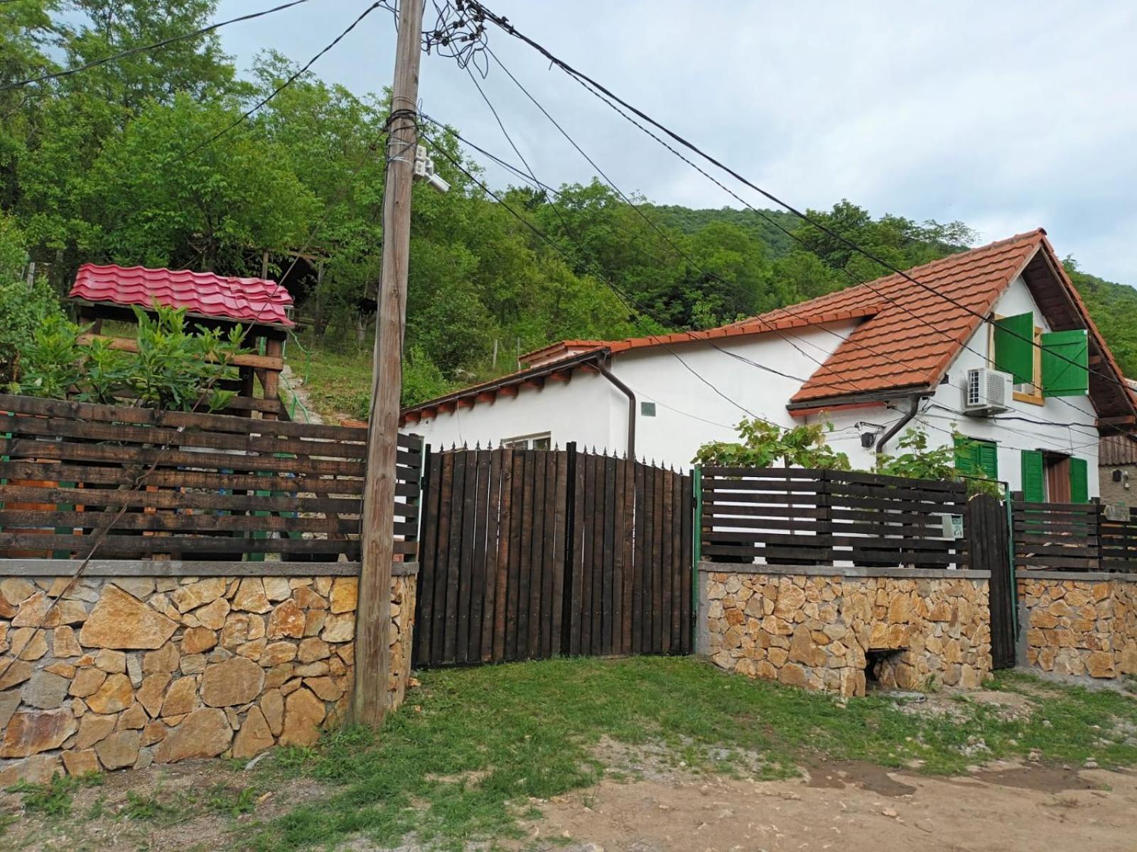 Vila Andrei Sasca Montană Exteriér fotografie