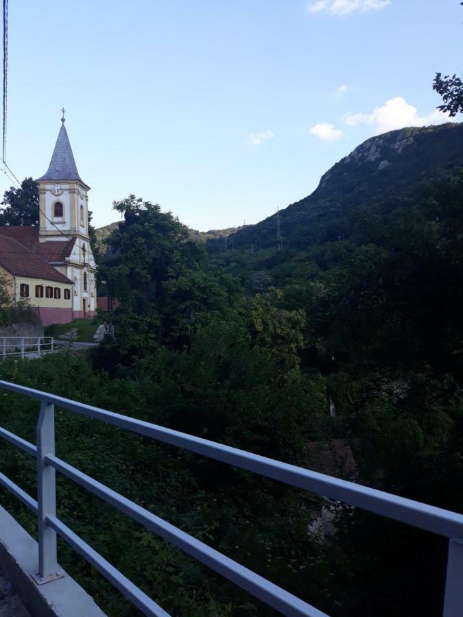 Vila Andrei Sasca Montană Exteriér fotografie